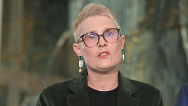 The Greens want to stop parents paying for public schools