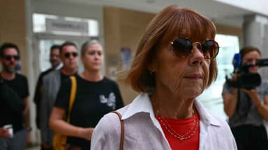 A man in France admitted at trial to raping and asking others to rape his wife