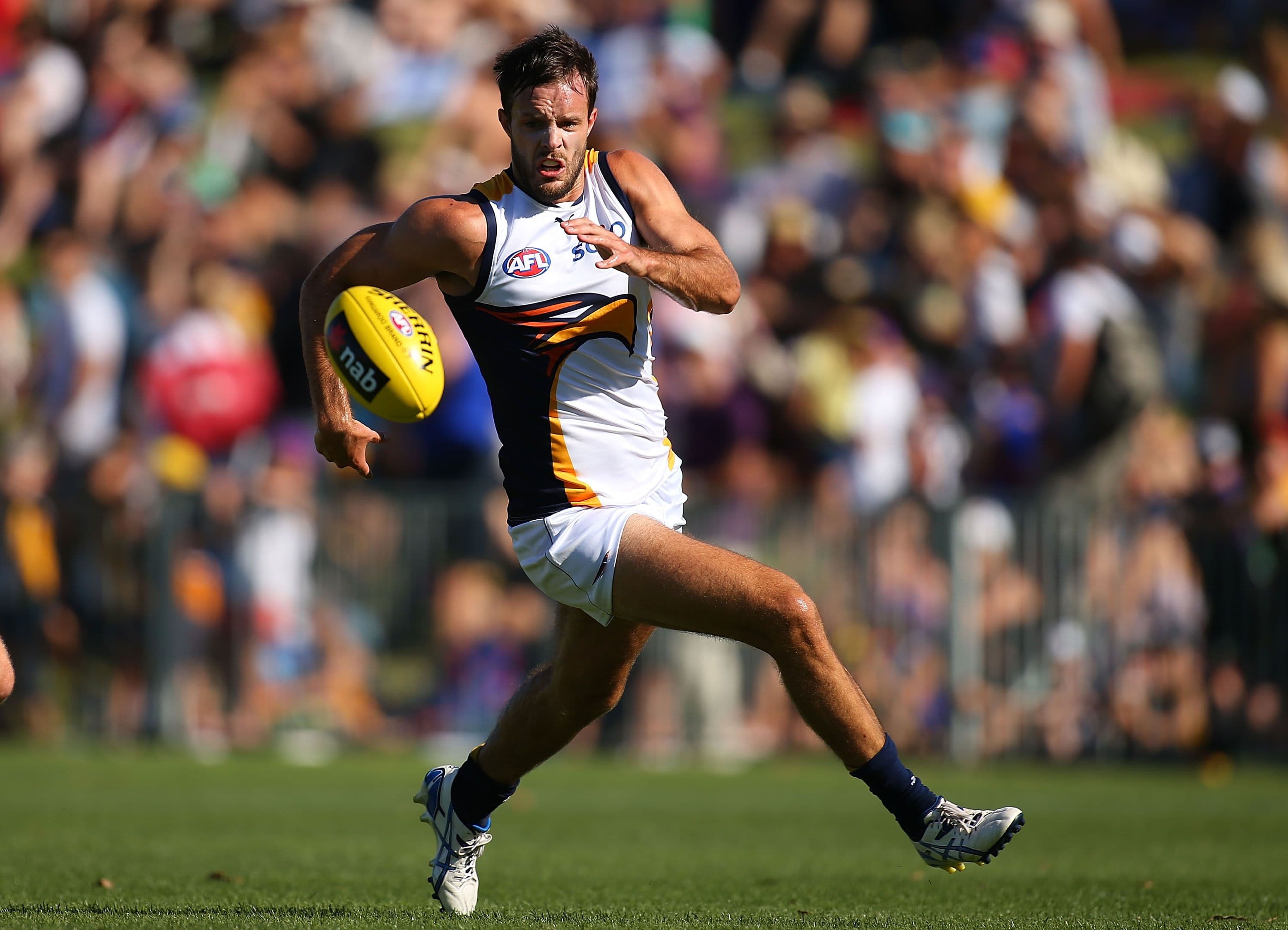 EXCLUSIVE: Ex-West Coast player becomes AFL's first openly bisexual man