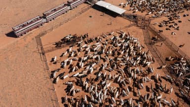 China drops last trade bans imposed on Australia’s exports